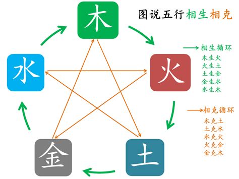 金生木|五行金木水火土之间的关系——相生、相克、相泄、相耗